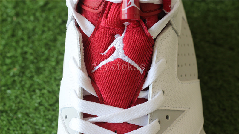 Air Jordan 6 Retro Hare Alternate